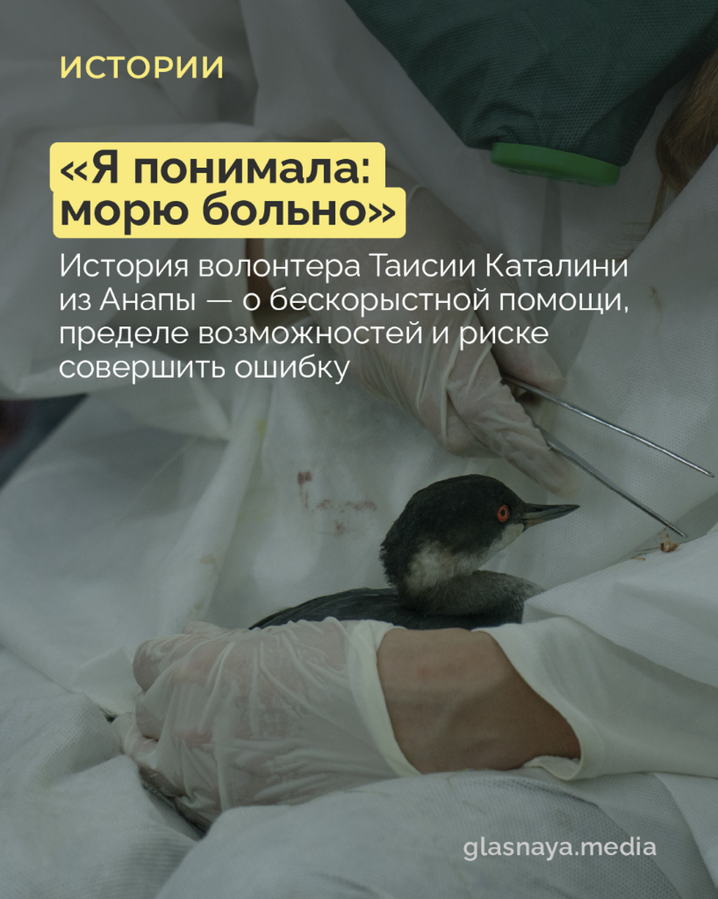 &laquo;Я понимала: морю больно&raquo;