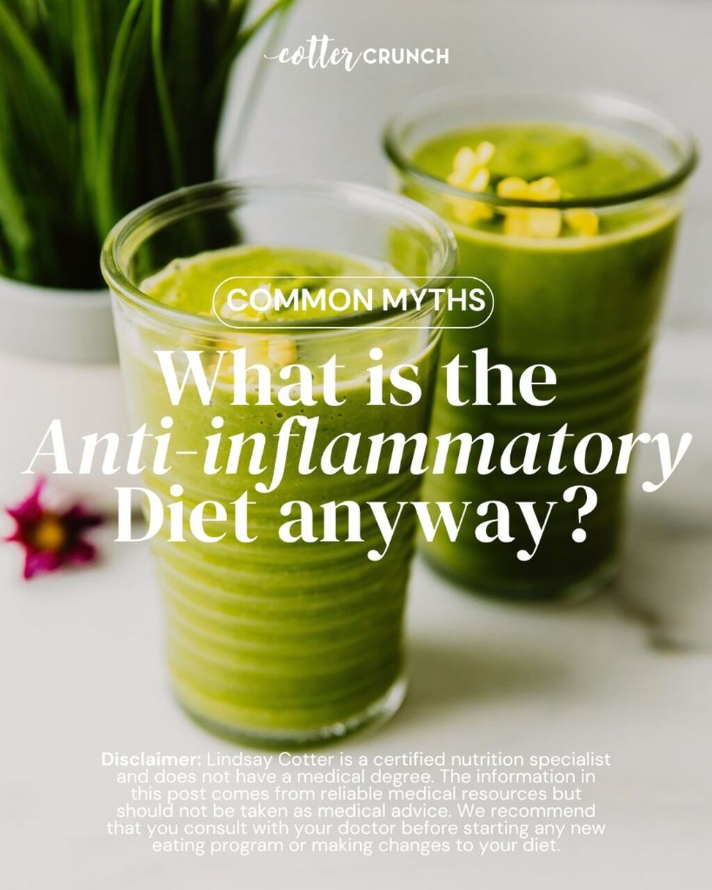 21 Day Anti-Inflammatory Plan