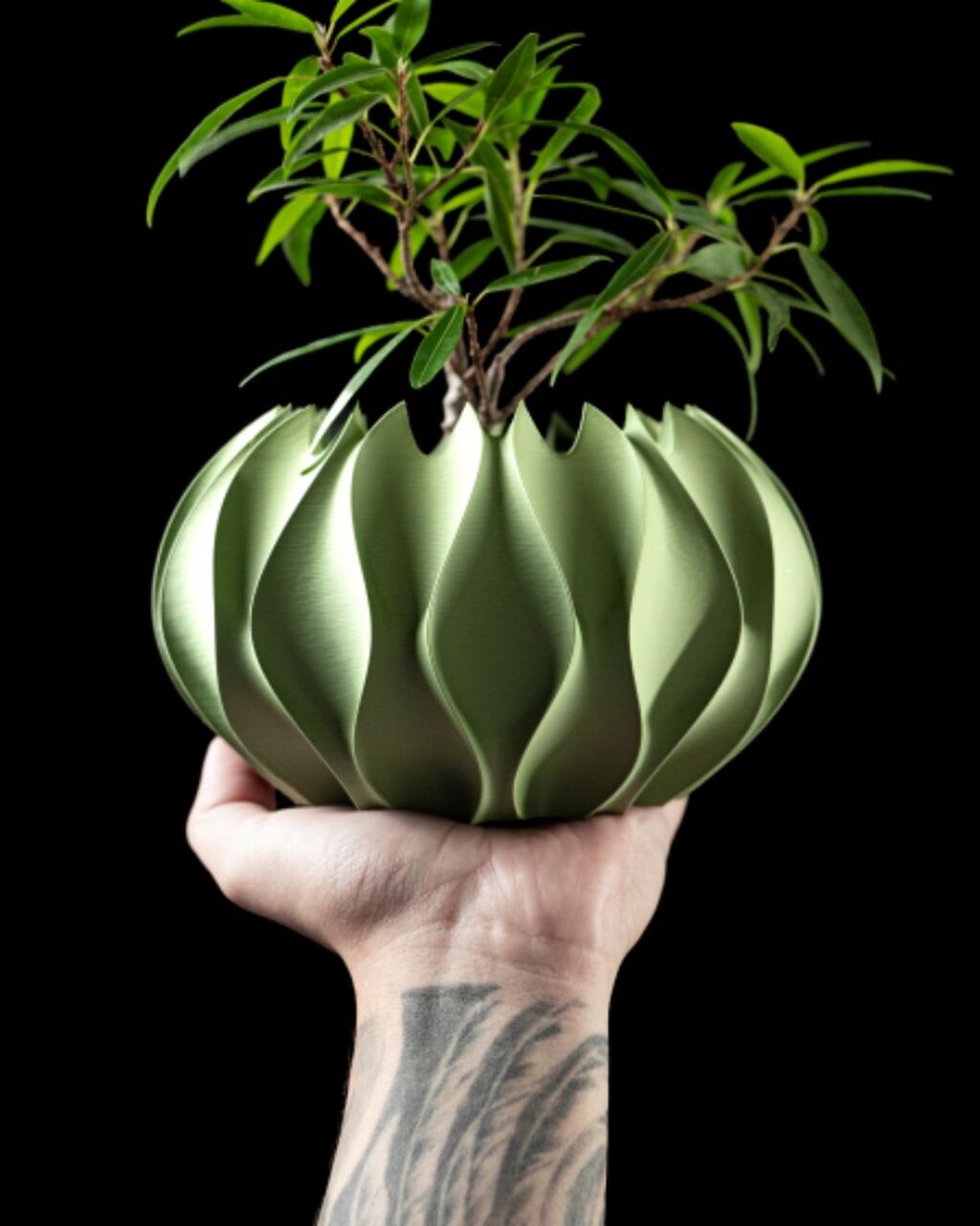 Abyssal Planter Pot
