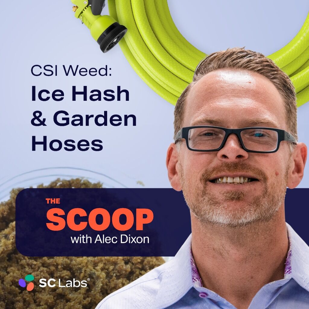 CSI Weed: Ice Hash & Garden Hoses &ndash; The Scoop with Alec Dixon of SC Labs
