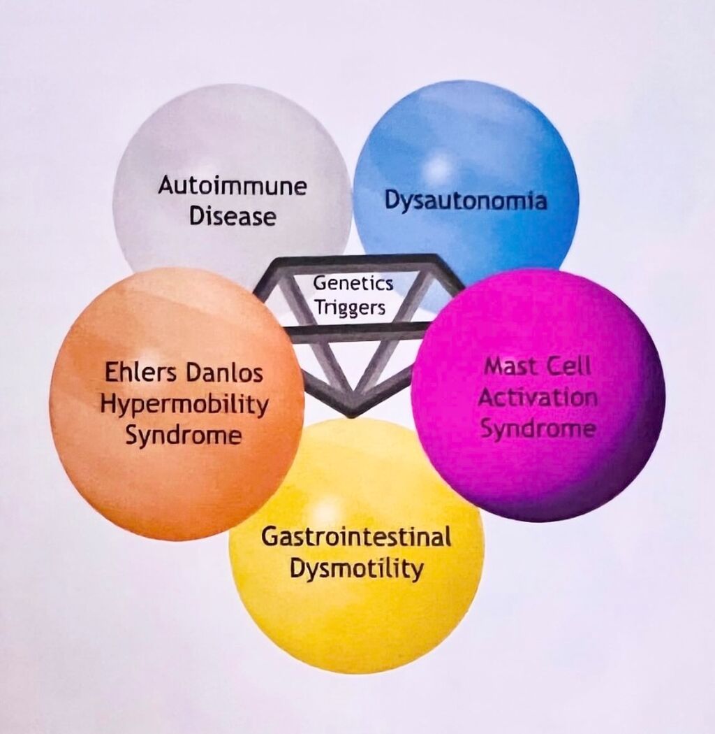 The &ldquo;Pentad&rdquo;, EDS, POTS, MCAS, GI issues, and Autoimmune issues (video)