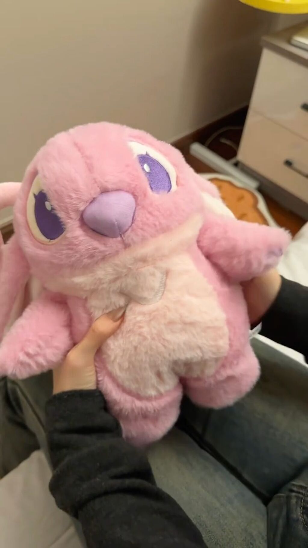 Plush toy Hot Compress