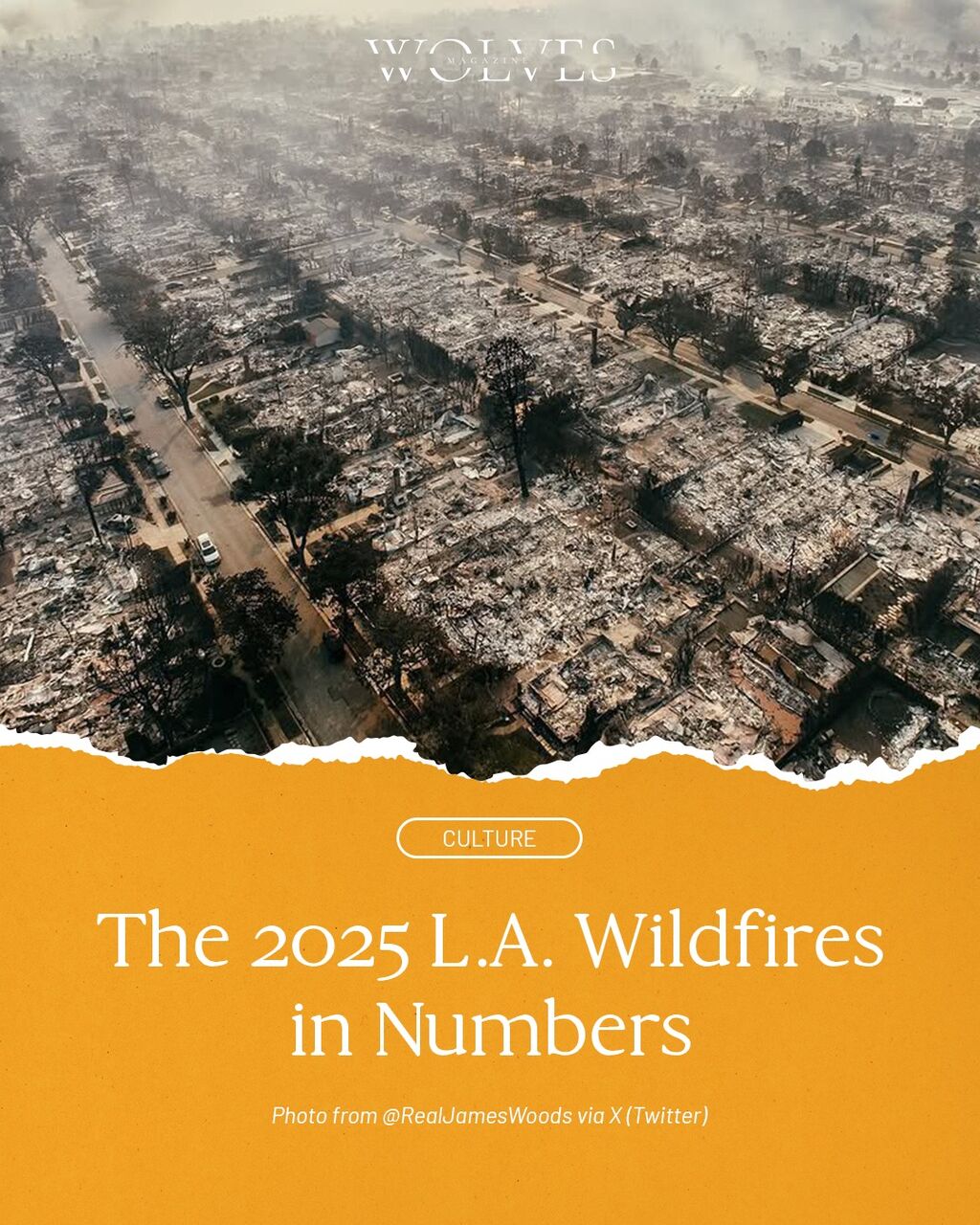 L.A. Wildfires: One of the Biggest Natural Disasters that Hit California