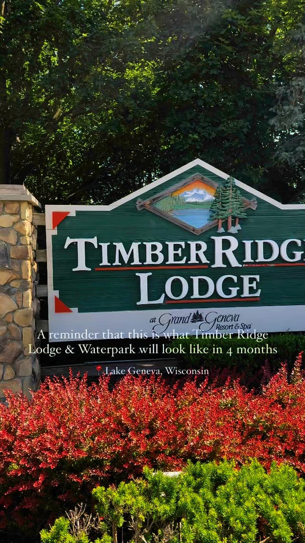 Summer at Timber Ridge