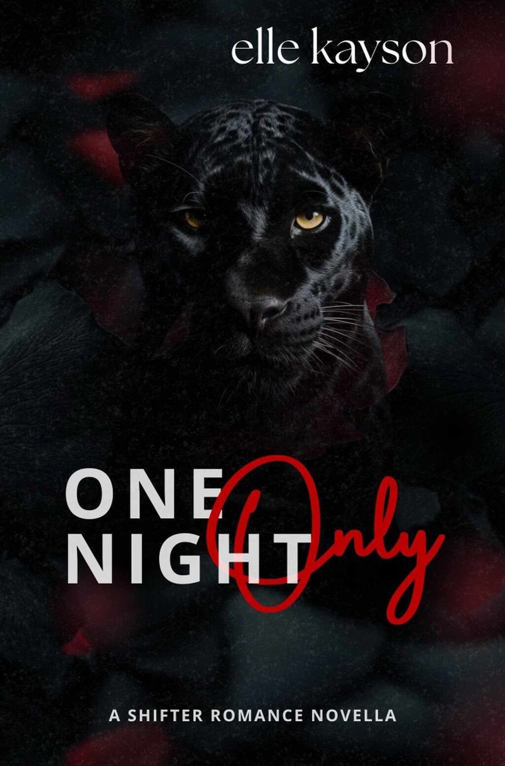 (eBook) One Night Only by elle kayson
