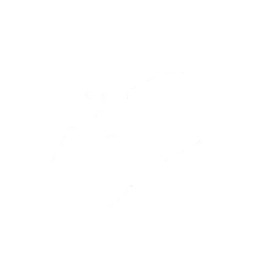 &iquest;Sitio web ca&iacute;do?