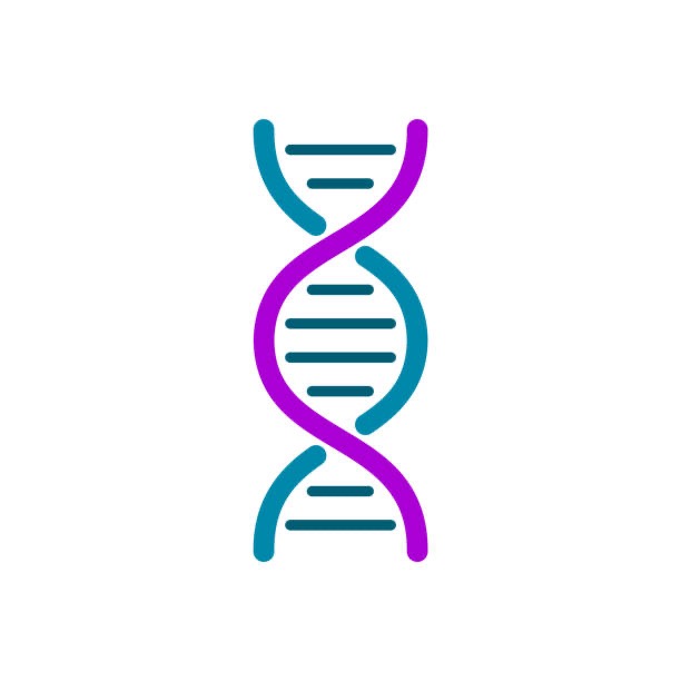 RCCX GENE THEORY
