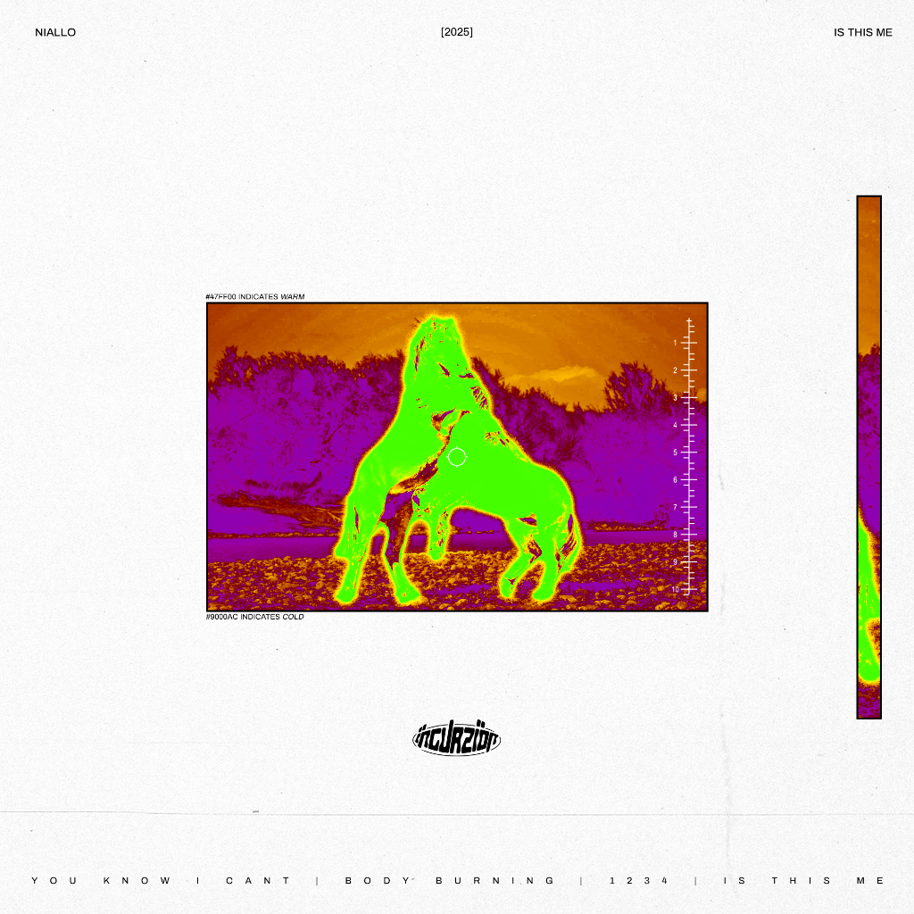 Niallo - Is This Me EP
