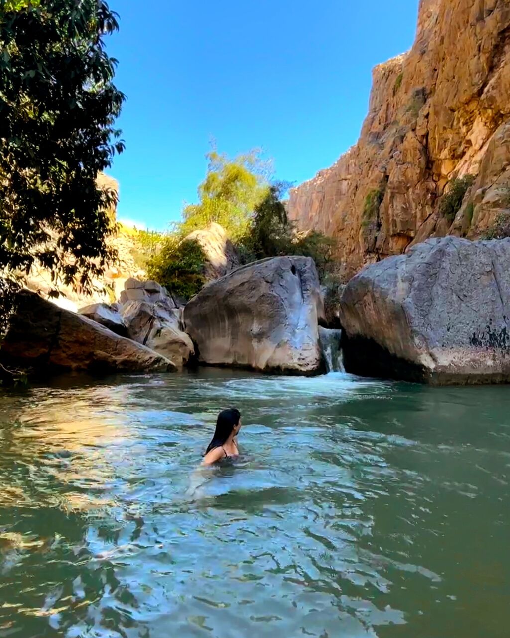 Taking the Plunge