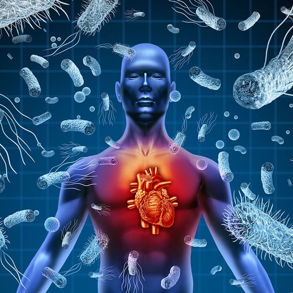 Helping the Heart Stand Up to Sepsis