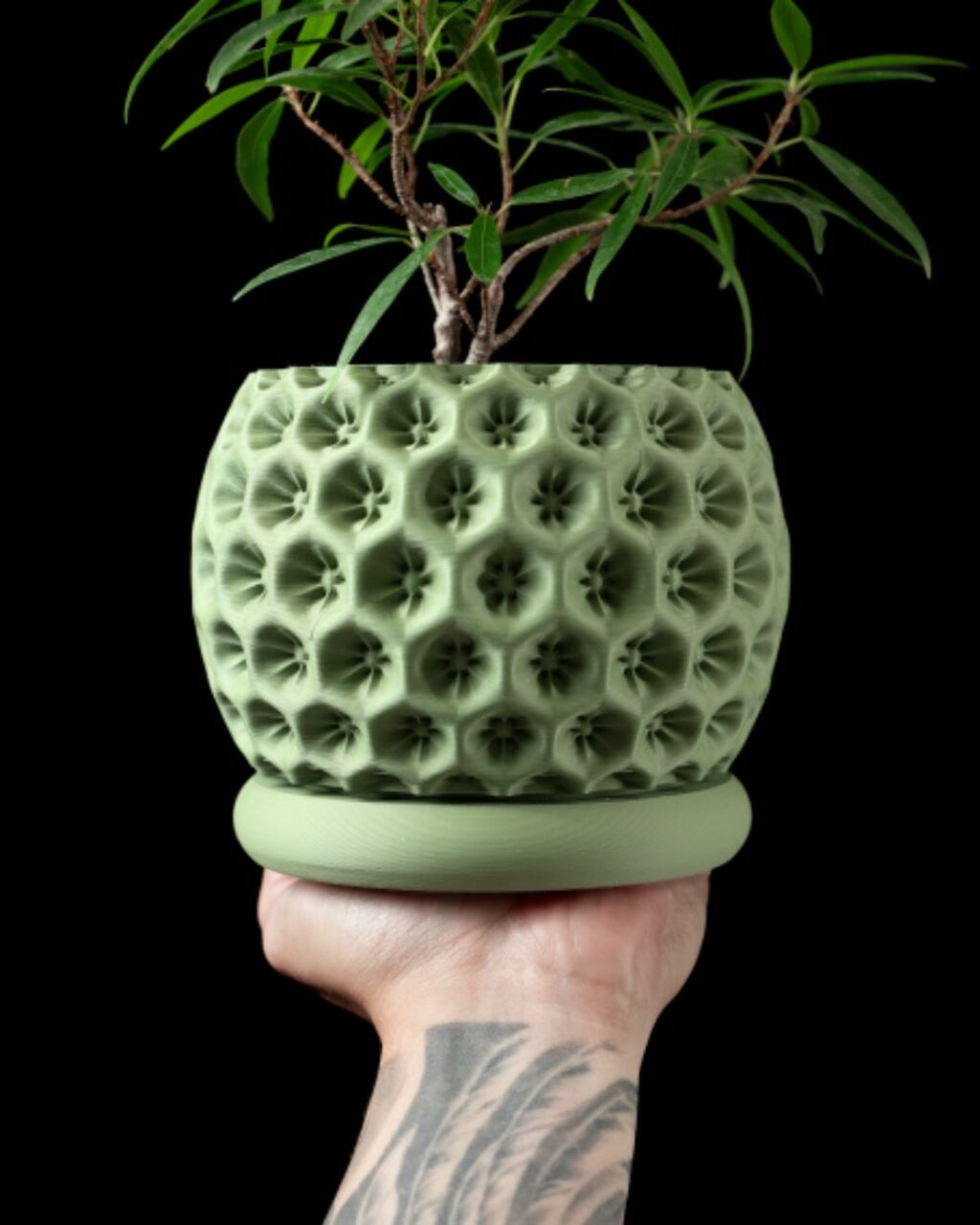 Starry Planter Pot