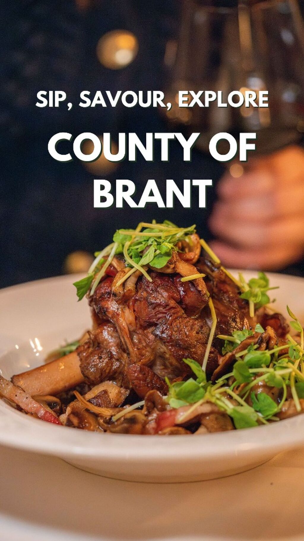 Brant- Sizzle Reel