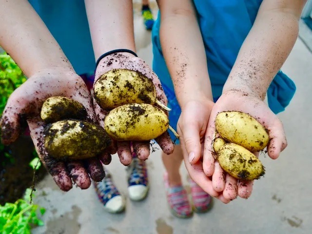 Growing Chefs Feast On- Post
