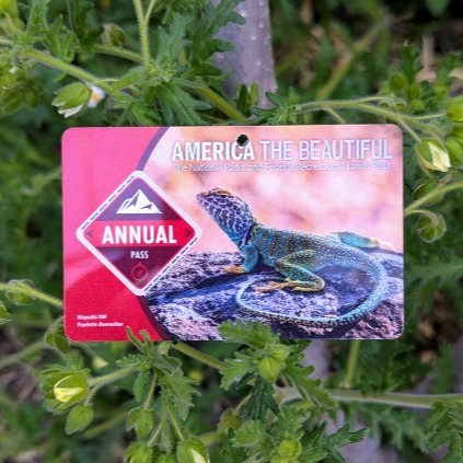America The Beautiful - The National Parks and Federal Lands Pass 
