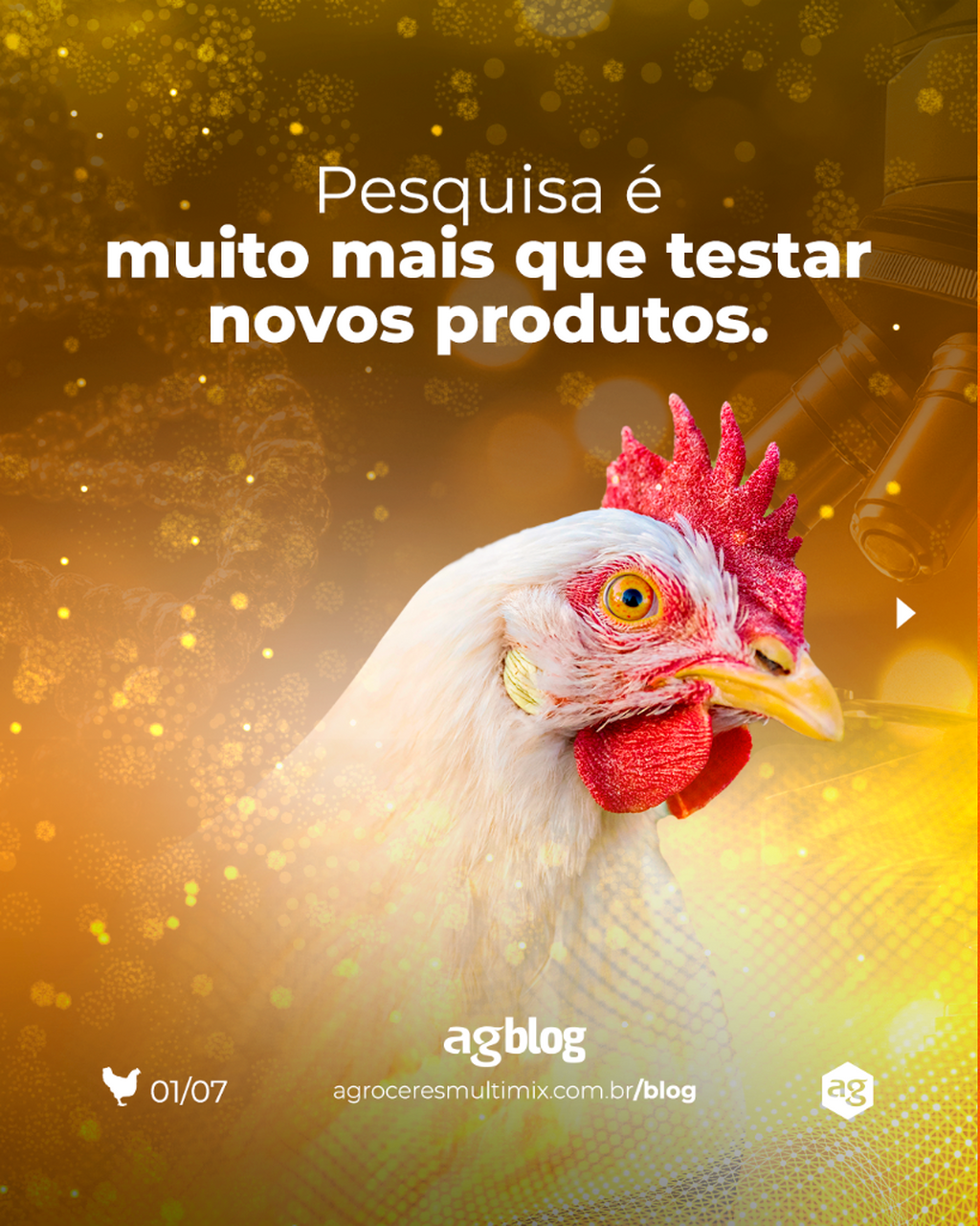 Acesse o agBlog e entenda como a pesquisa impulsiona a produ&ccedil;&atilde;o av&iacute;cola. 