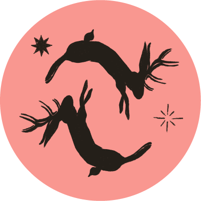 Newsletter: The Stardust Dispatch