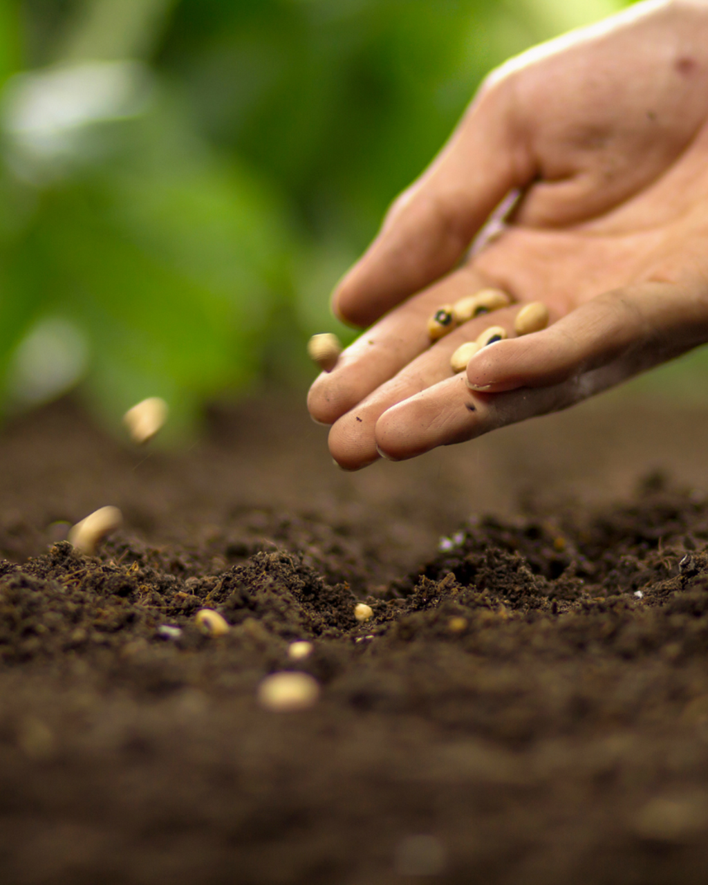 winter sowing workshop in union city 