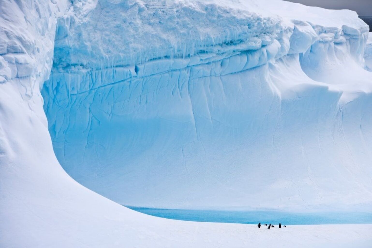 Premi&egrave;re exp&eacute;dition scientifique exclusivement canadienne dans l&rsquo;Antarctique