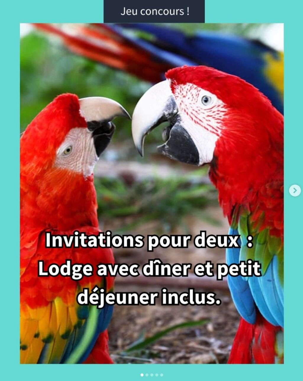 Les gagnants du jeu concours Parrot World