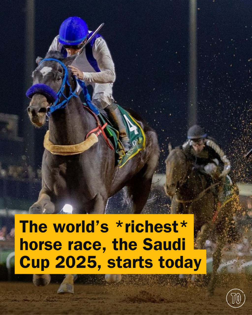 Saudi Cup 2025