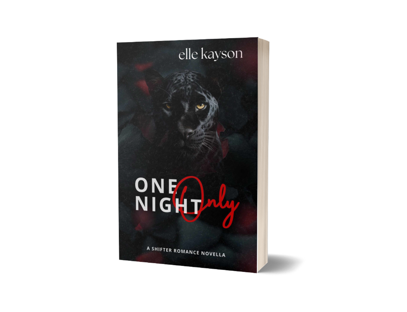 [Signed Paperback] One Night Only by elle kayson