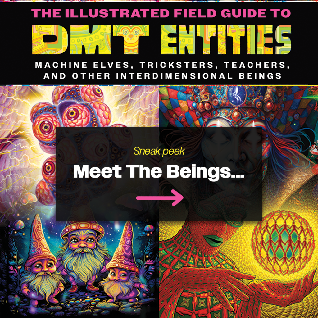 The Illustrated Field Guide to DMT Entities