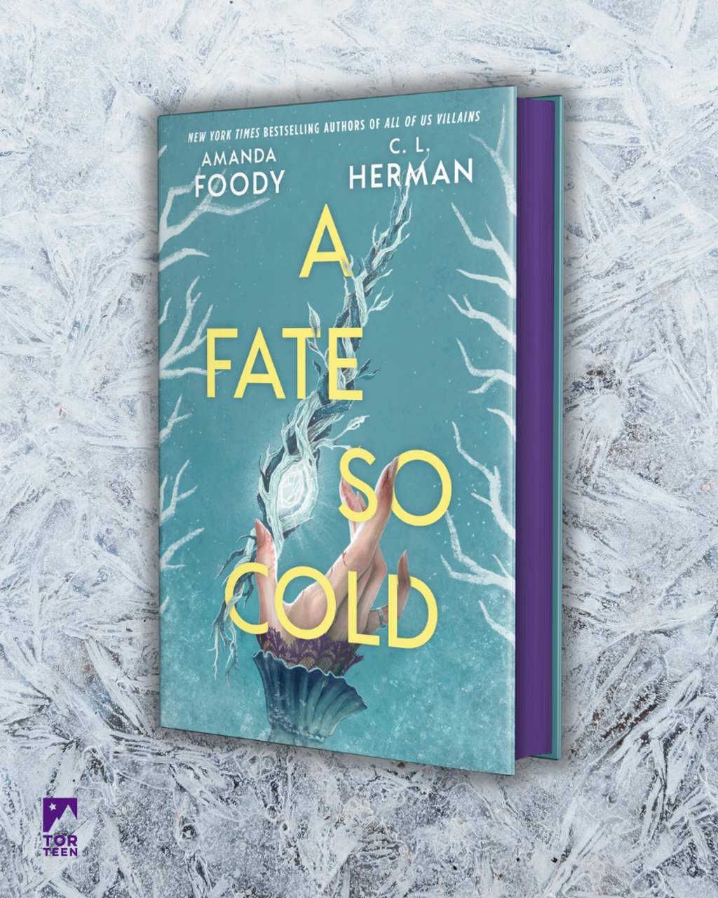 ORDER A FATE SO COLD BY AMANDA FOODY & C.L. HERMAN