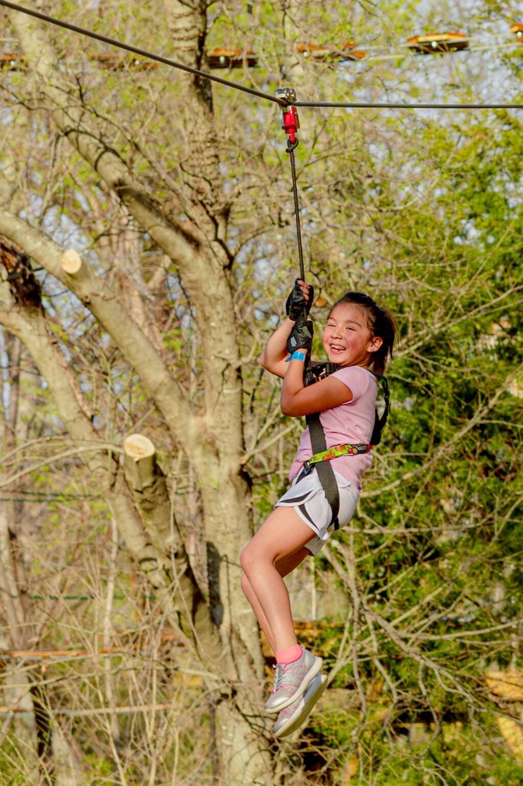 Things to do with Kids in Arlington