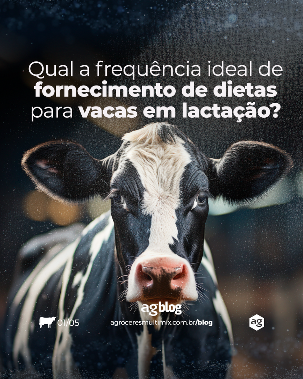 Aumentar a frequ&ecirc;ncia dos tratos melhora a produ&ccedil;&atilde;o de leite? Reduzir pode comprometer o desempenho do rebanho? Acesse o artigo completo no agBlog e entenda todas as particularidades