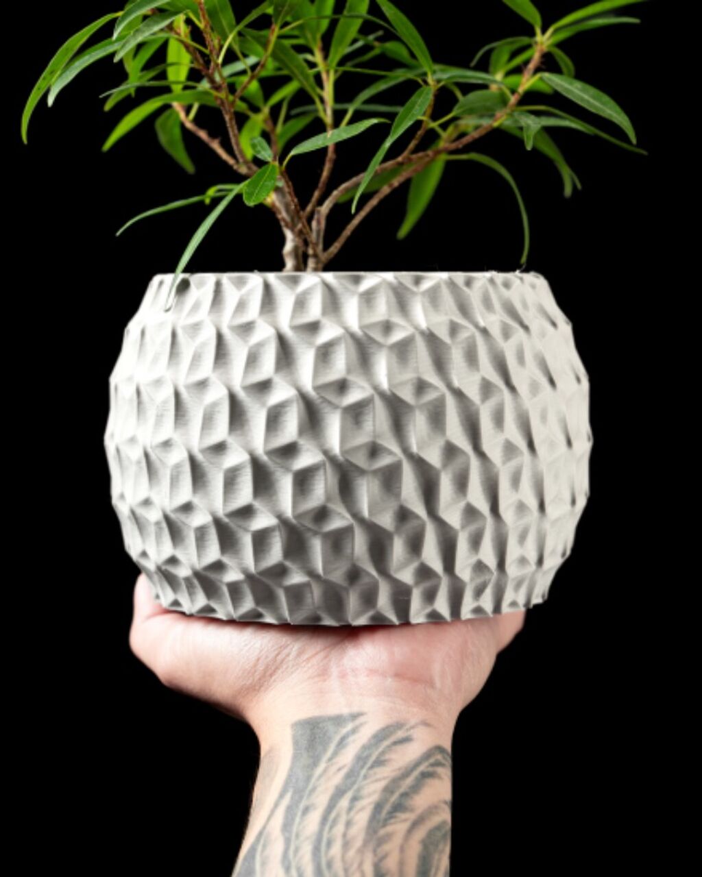 Hexa Planter Pot