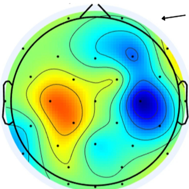 Open-Source Neuroscience Datasets