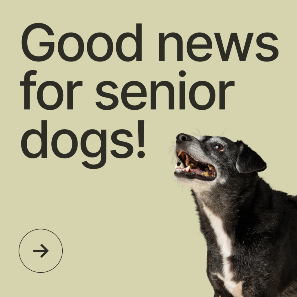  Our senior dog program receives preliminary FDA efficacy acceptance (RXE)