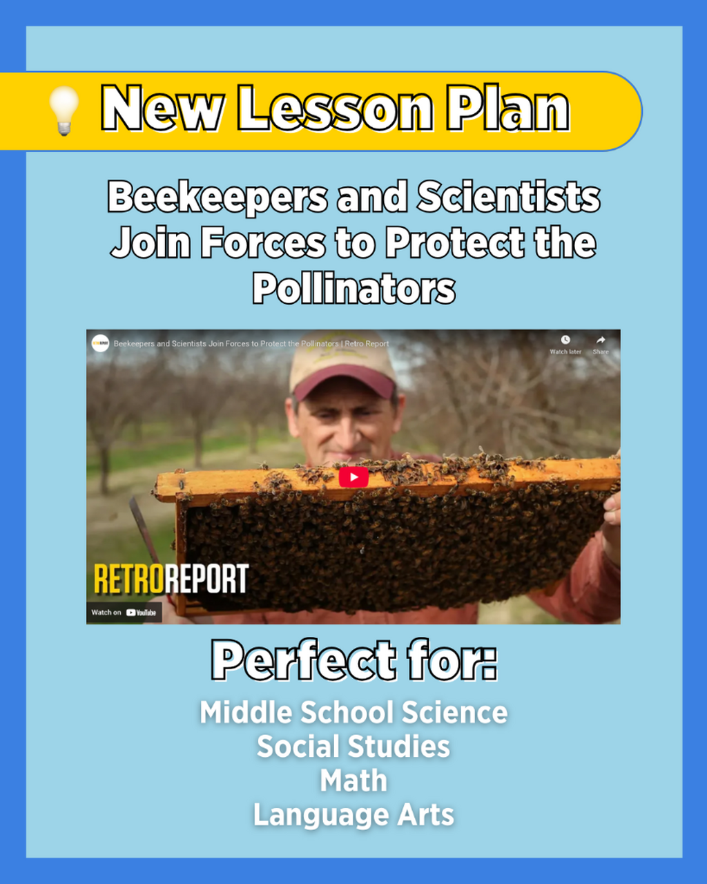 A Bee&rsquo;s Eye View: Narrative Writing  and Figurative Language