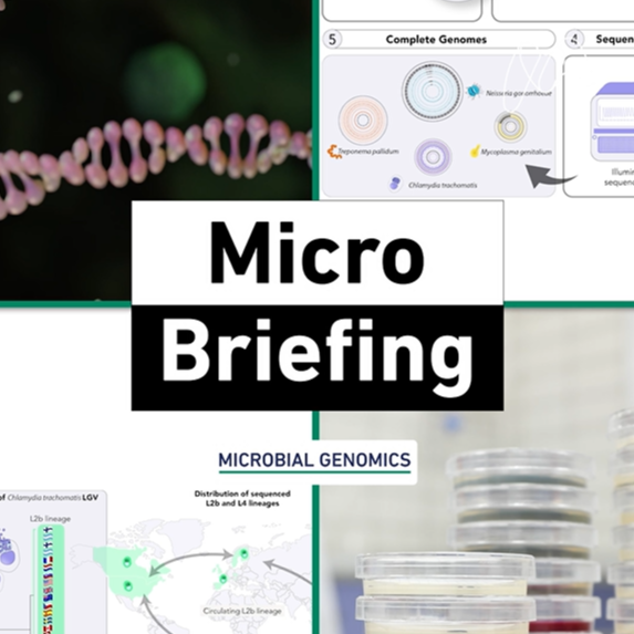 How can scientists accurately track the often hidden genomes of sexually transmitted bacterial infections?