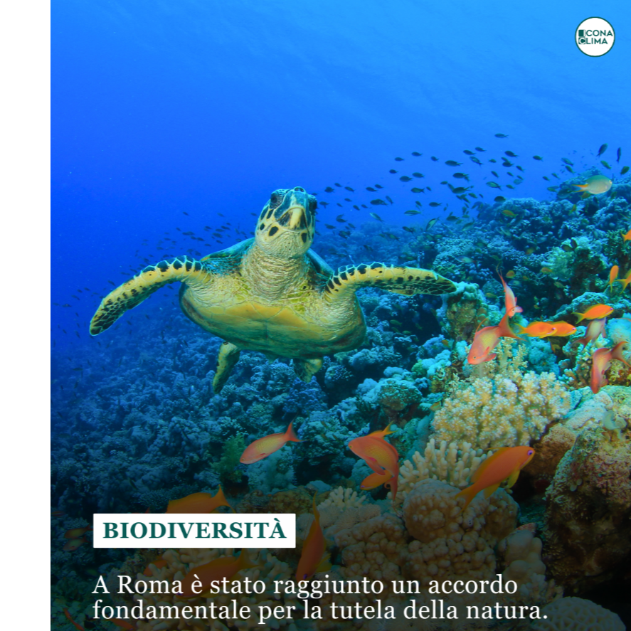 A Roma &egrave; stato raggiunto un accordo fondamentale per la biodiversit&agrave;