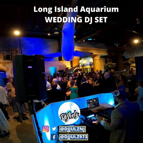 Full Wedding Dj Mix  Long Island Aquarium, NY (Oldies, Pop, House, Throwbacks & Hip Hop)