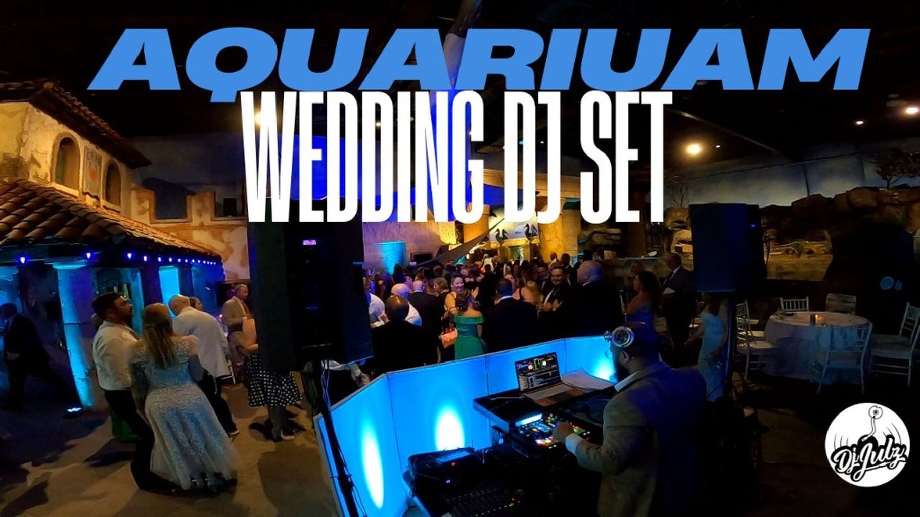 Full Wedding Dj Mix | Dj Julz | Long Island Aquarium, NY (Oldies, Pop, House, Throwbacks & Hip Hop) (Video)