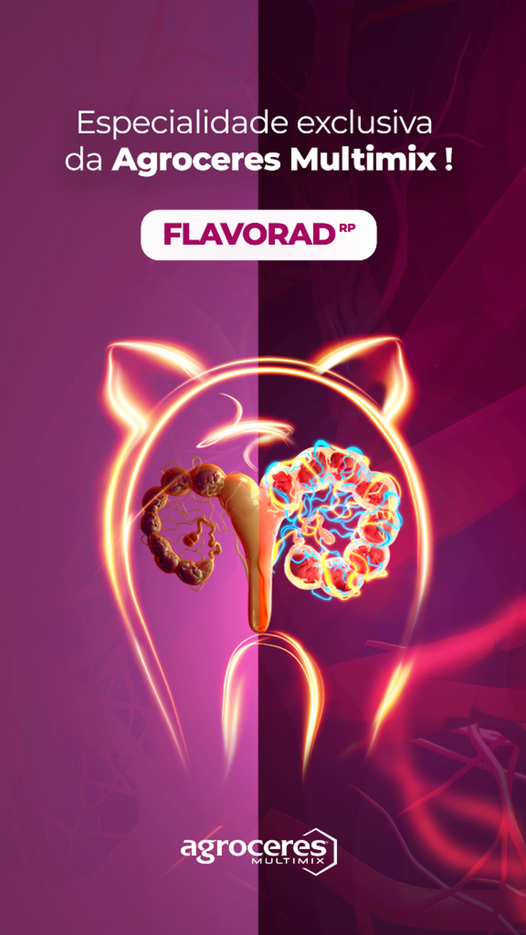  No cora&ccedil;&atilde;o da gesta&ccedil;&atilde;o, Flavorad RP promove uma vasculariza&ccedil;&atilde;o sem precedentes, irrigando e vitalizando a placenta.    