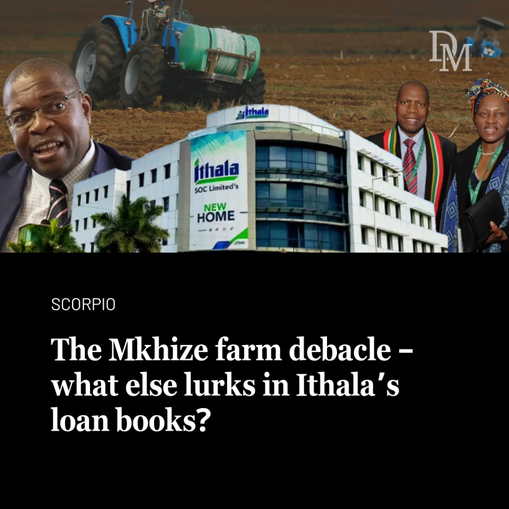 The Mkhize farm debacle &ndash; what else lurks in Ithala&rsquo;s loan books?