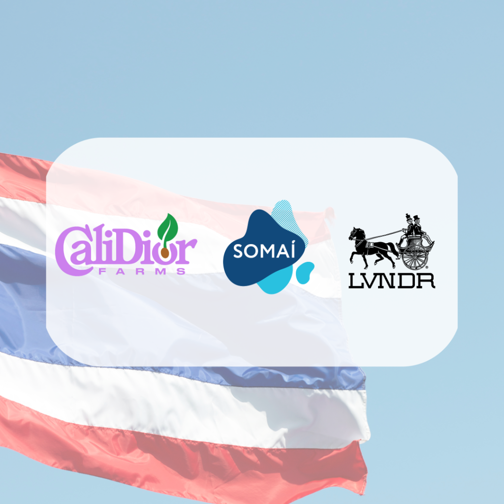 Eyes on Thailand in the Global Medical Cannabis Scene: SOMA&Iacute; and Cali Dior Lead the Revolution