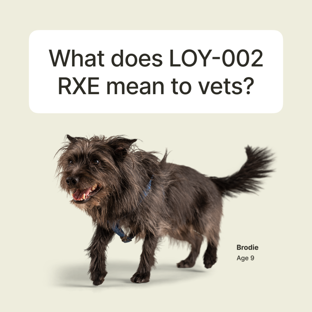 What vets are saying about LOY-002 RXE milestone