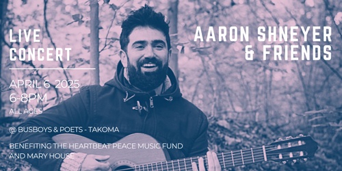 Aaron Shneyer & Friends - A Peace Music Benefit Concert