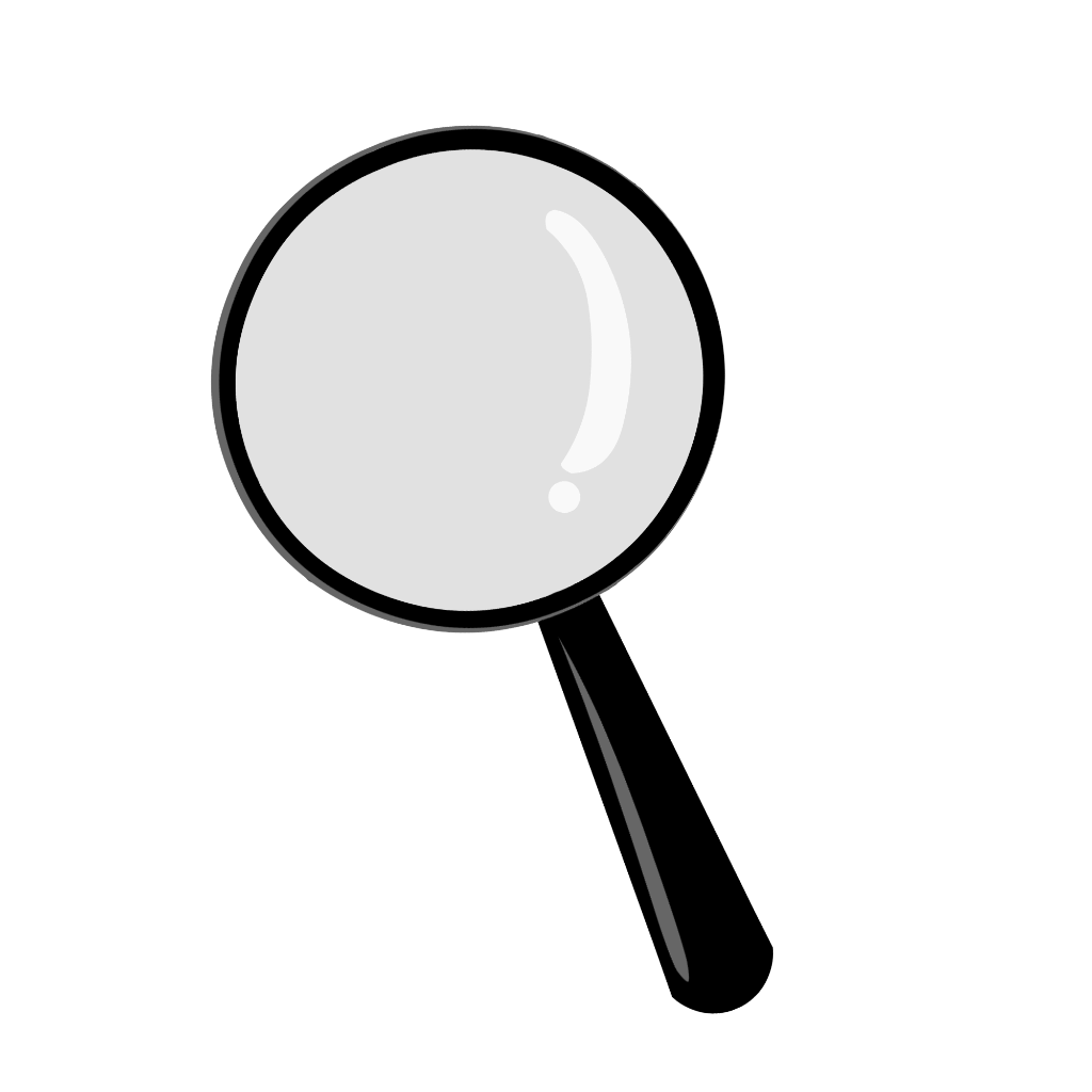 LGI PROFESSIONAL
