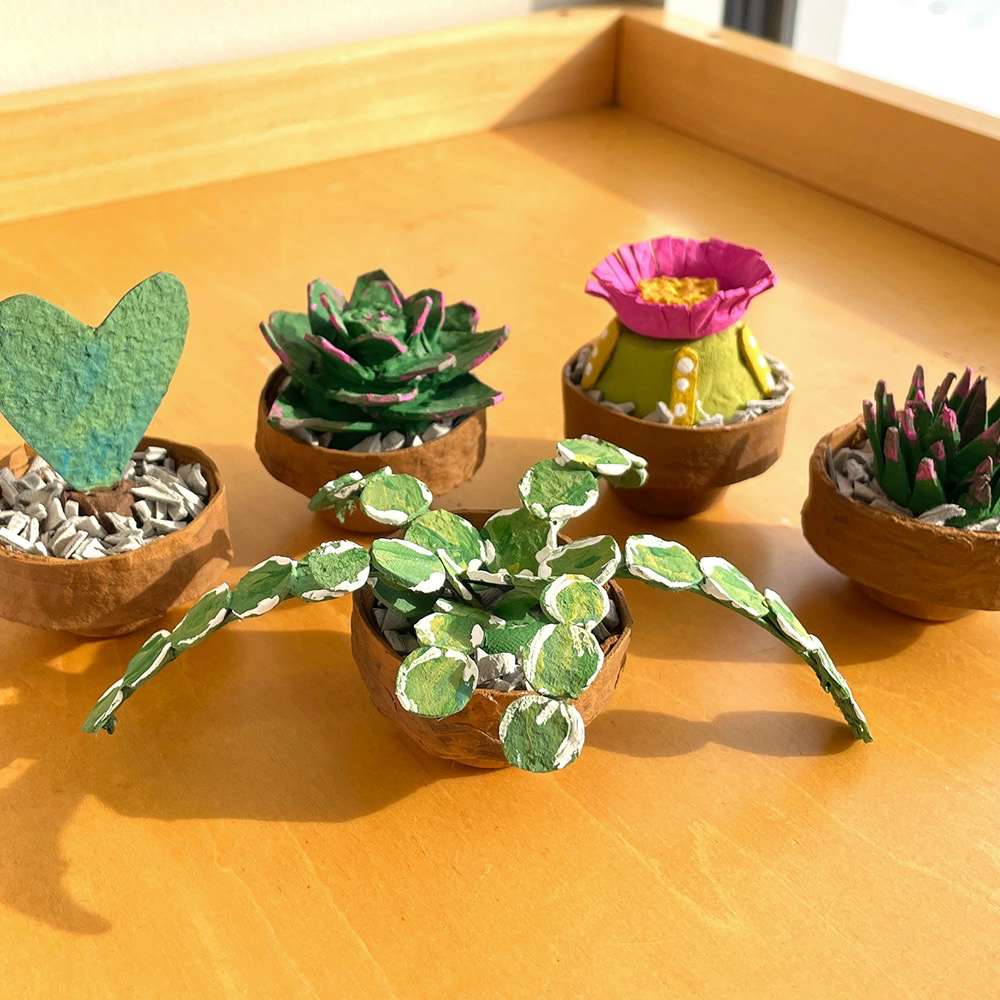 Egg Carton Succulents