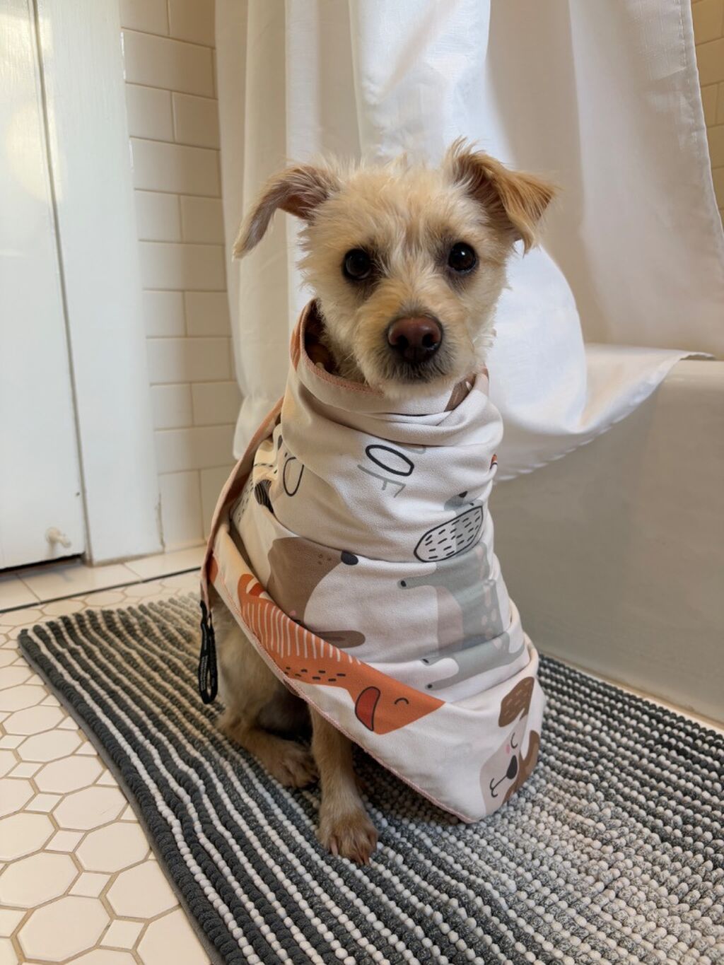 &ldquo;DouglasFurBath&rdquo; 15% off your purchase at Pouty Paws 👘
