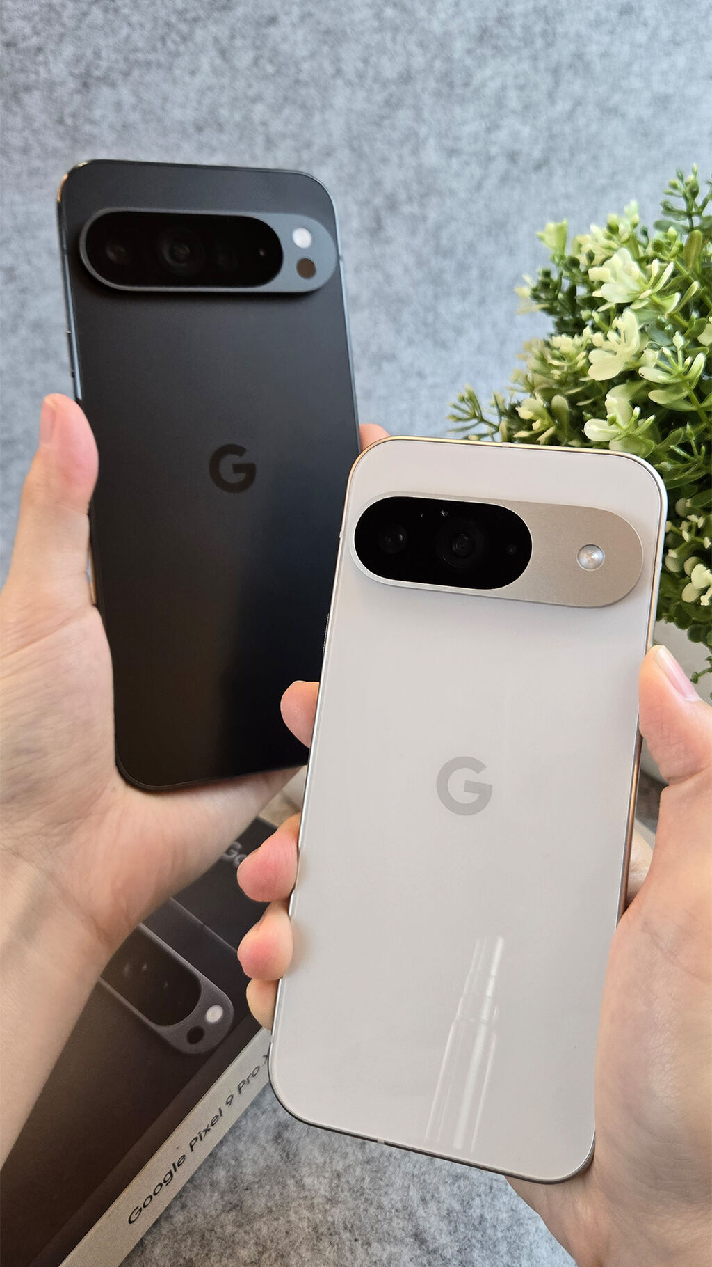 Pixel 9 Collection