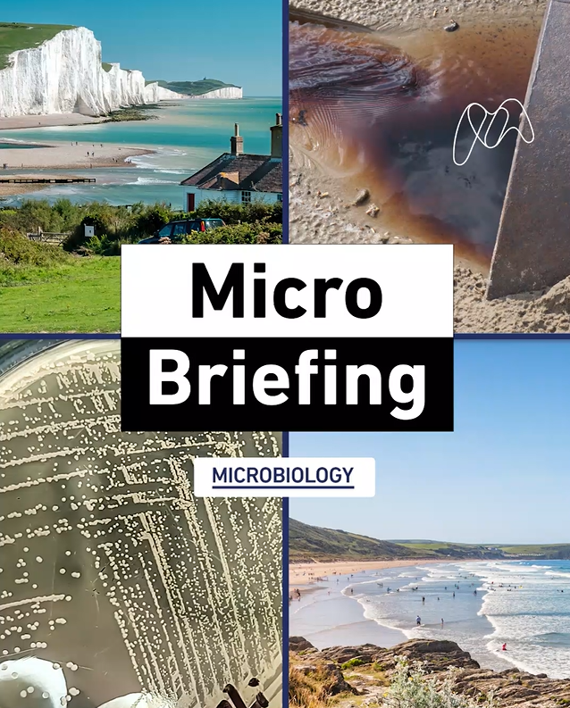 SOS &ndash; save our seaside! The microbiological risks to human health of raw sewage in our coastal waters