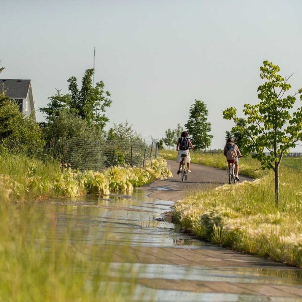 Soak up the summer with a greenspace-backing yard