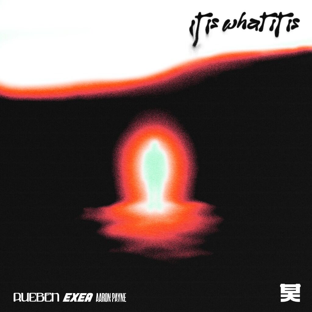 It Is What It Is - Shogun Audio