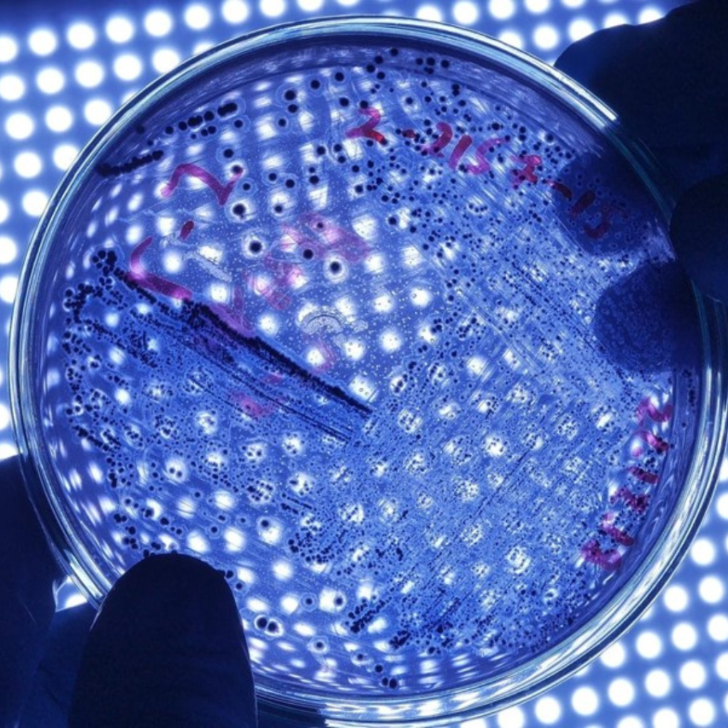 Edinburgh Science Festival: Meet the scientists 